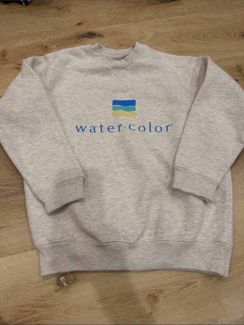 Watercolor, FL Youth M sweatshirt
